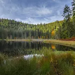 Sagenhafter Ausblick * Bad Peterstal-Griesbach