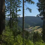 Lejlighed Sagenhafter Ausblick Bad Peterstal-Griesbach