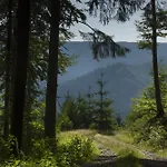 Sagenhafter Ausblick * Bad Peterstal-Griesbach