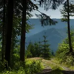 Sagenhafter Ausblick Bad Peterstal-Griesbach
