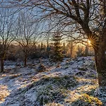 Sagenhafter Ausblick Bad Peterstal-Griesbach