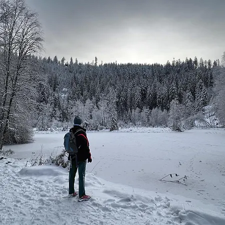 Sagenhafter Ausblick * Bad Peterstal-Griesbach