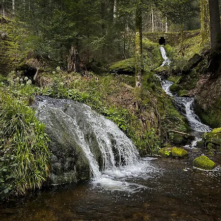 Sagenhafter Ausblick Daire Bad Peterstal-Griesbach