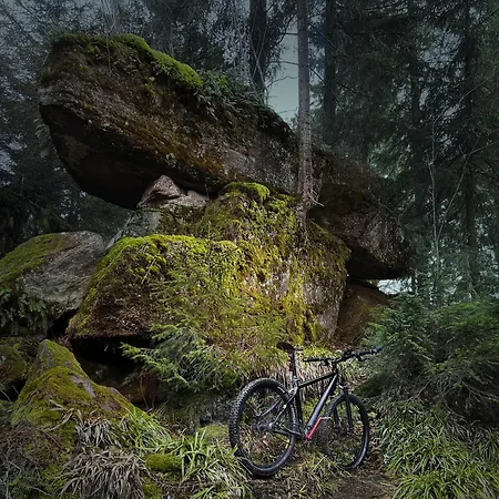 Sagenhafter Ausblick * Bad Peterstal-Griesbach