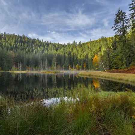 Sagenhafter Ausblick * Bad Peterstal-Griesbach