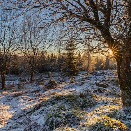 Daire Sagenhafter Ausblick *