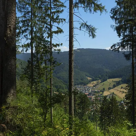 Apartment Sagenhafter Ausblick Bad Peterstal-Griesbach
