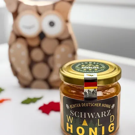 Daire Sagenhafter Ausblick Bad Peterstal-Griesbach