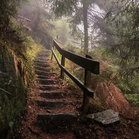 Daire Sagenhafter Ausblick Bad Peterstal-Griesbach