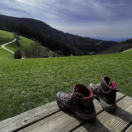Sagenhafter Ausblick Daire Bad Peterstal-Griesbach
