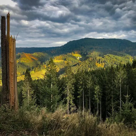 Sagenhafter Ausblick * Bad Peterstal-Griesbach