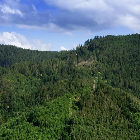 Sagenhafter Ausblick Apartmán Bad Peterstal-Griesbach