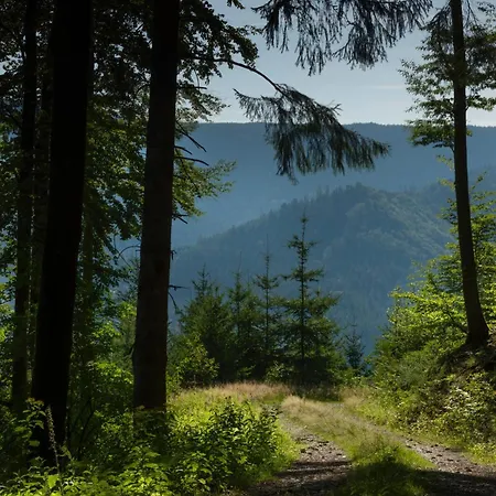 Sagenhafter Ausblick Bad Peterstal-Griesbach