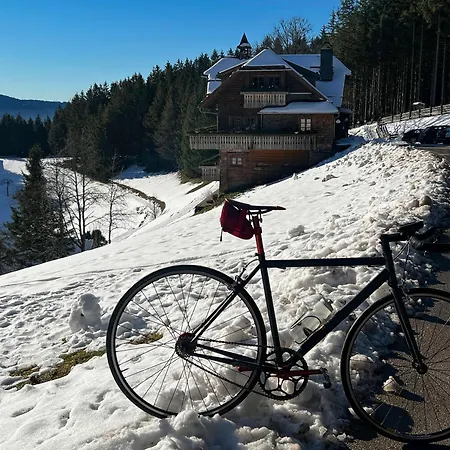 Sagenhafter Ausblick Apartmán Bad Peterstal-Griesbach